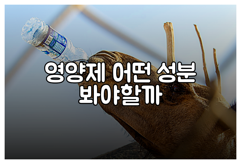 영양제 어떤 성분 봐야할까