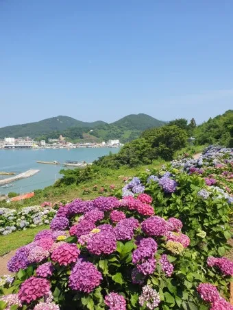 5월부터 6월 여행지 추천 덥기 전에 꼭 가야 할 최고의 힐링 명소 8곳_23