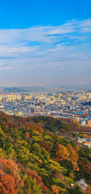 목포 해상케이블카 요금