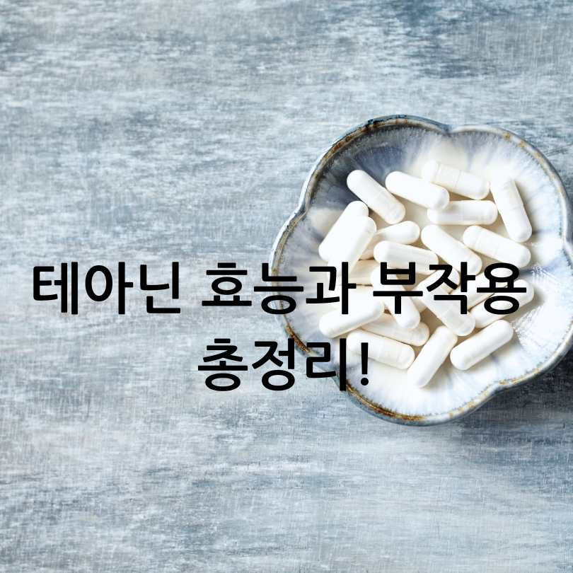 테아닌 효능과 부작용 총정리