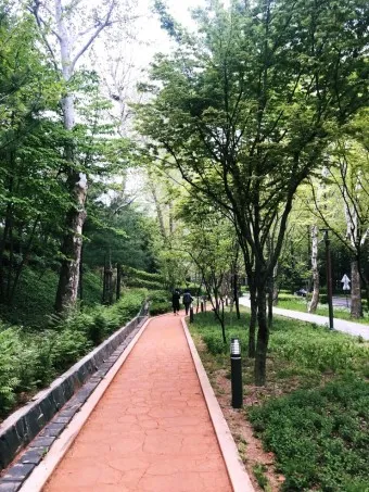 황토길 맨발걷기 효능 부작용 무좀_11