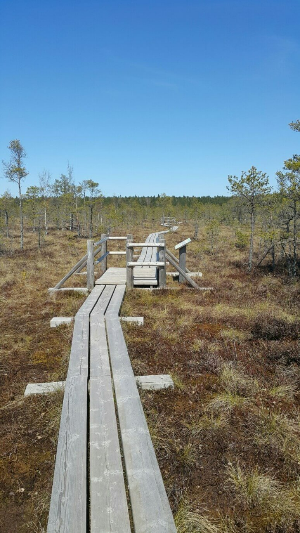 체메르 국립공원