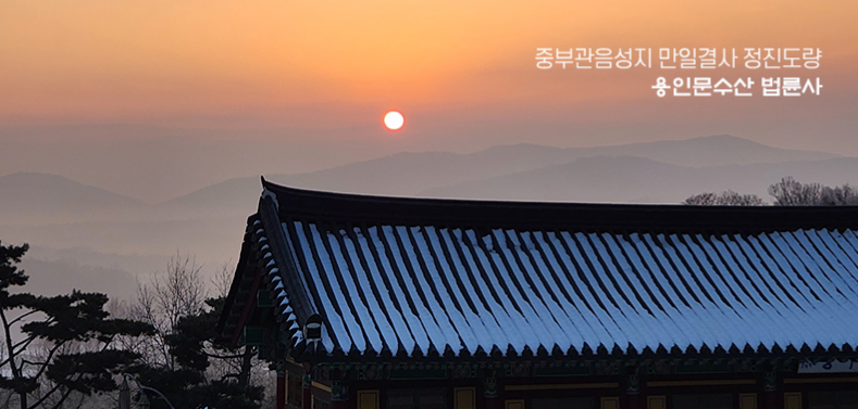 법륜사, 절, 나무, 일출,
