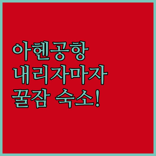 비행기 내리자마자 꿀잠 자는 법 마스..