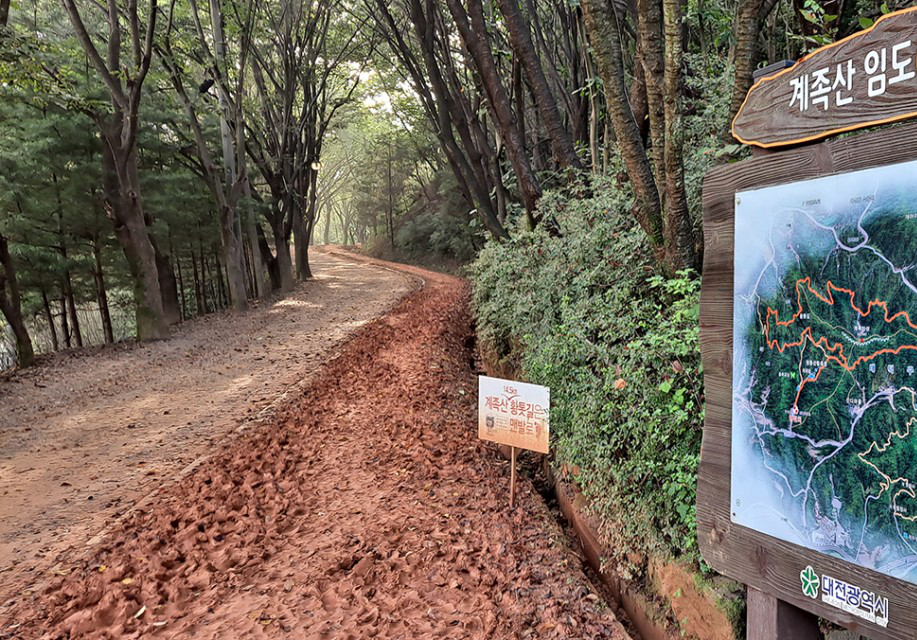 대전 여행 가이드 - 핫플 &amp; 맛집 총정리