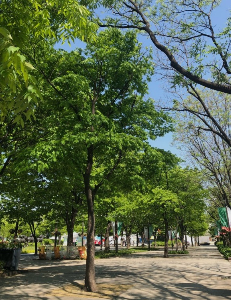 서울숲