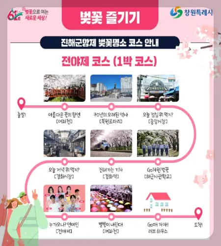 진해군항제 벚꽃축제_2