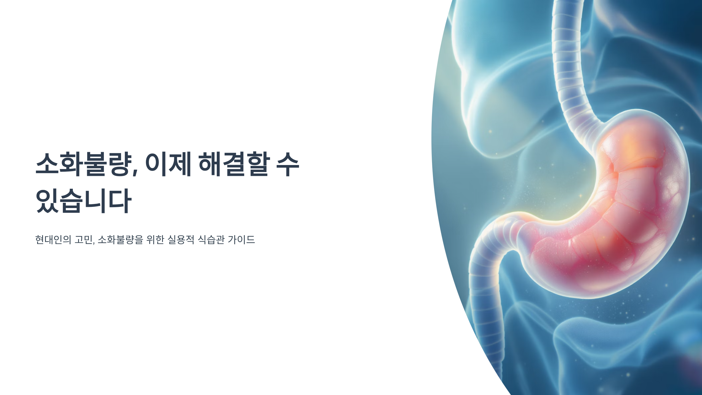 뱃속 편안하게 하는 식사습관은 어떻게 만들까? 소화 개선 실천법