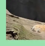 피로회복에 좋은 음식과 스트레칭