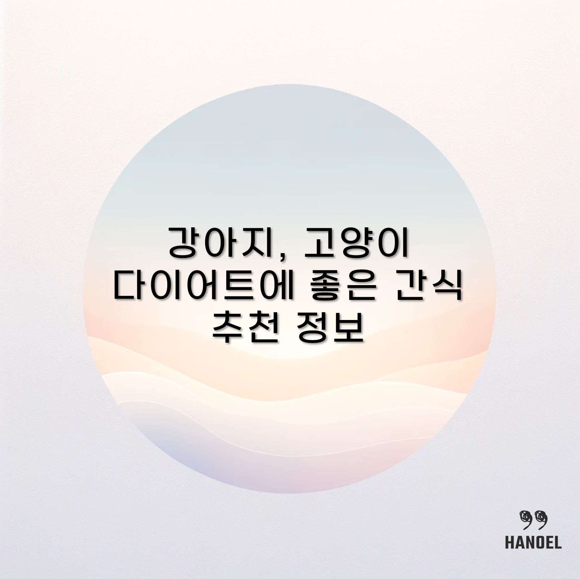 애견 강아지, 고양이 다이어트에 좋은 간식 추천 정보