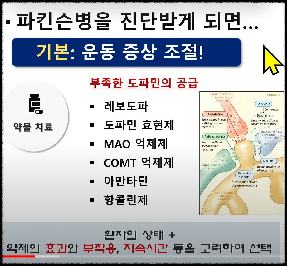 파킨슨병의 약물치료