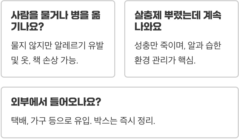 좀벌레 생기는 이유, 원인부터 잡아야 재발 안 합니다 (습기)