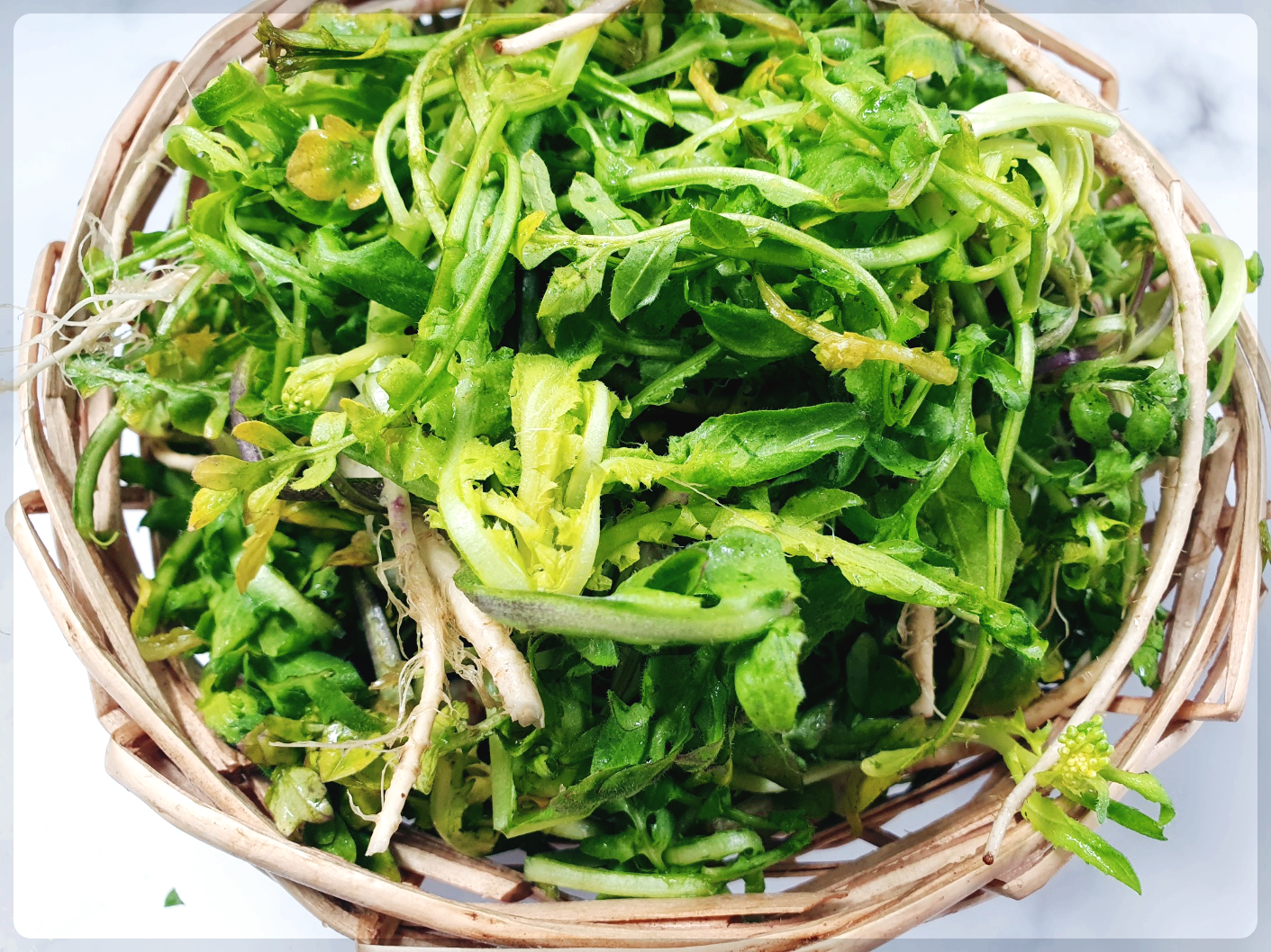 냉이무침 황금레시피 맛있게 만드는 법
