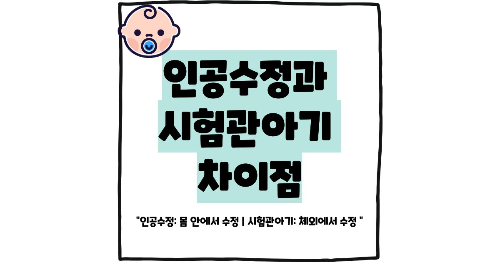 인공수정과 시험관아기 차이점