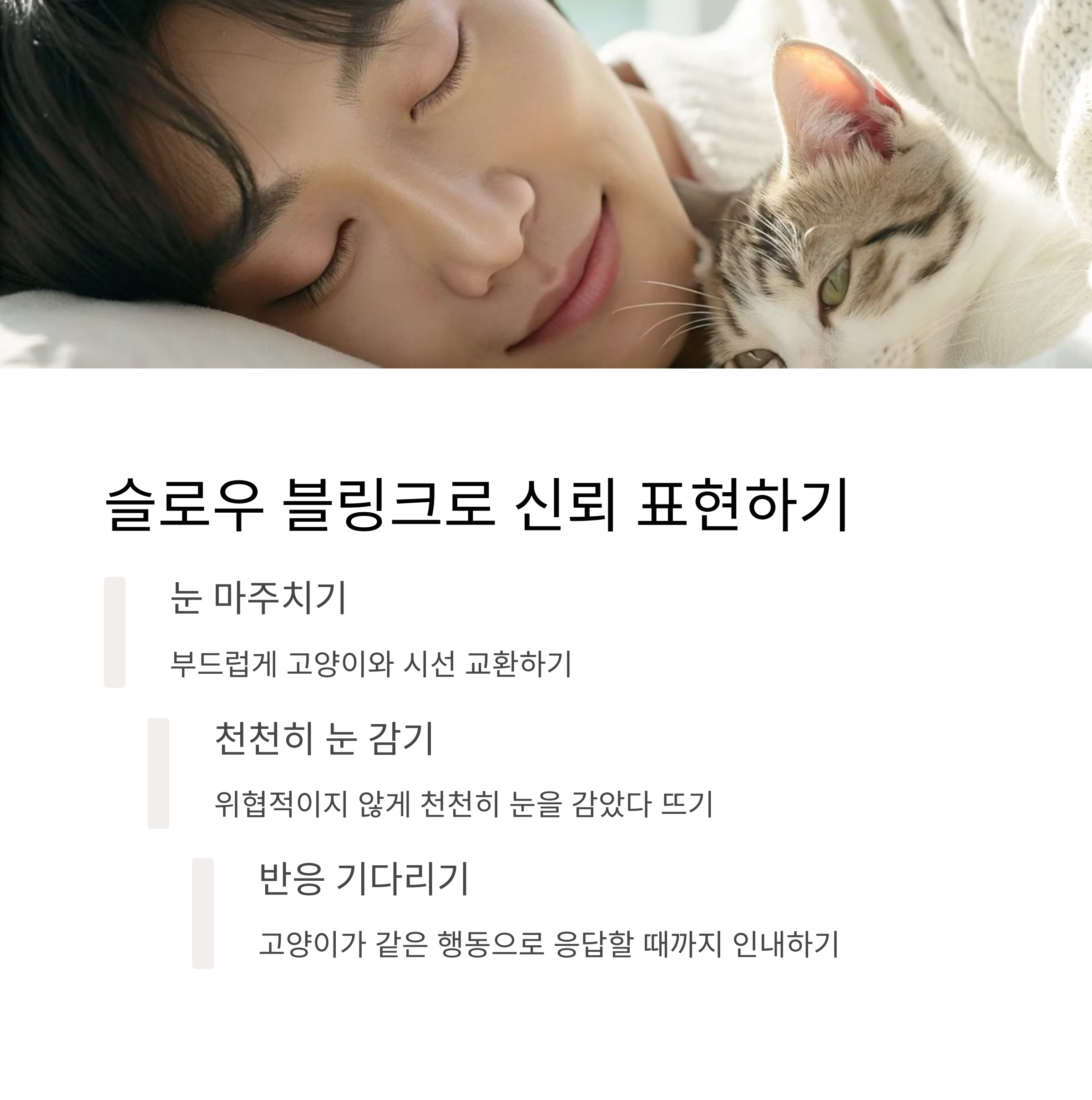 슬로우 블링크로 신뢰 표현하기