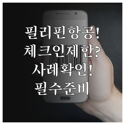 필리핀항공 온라인체크인 제한 사례와 ..
