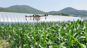 제3회 섬섬여수옥수수 페스티벌 기본일정과 프로그램 정리