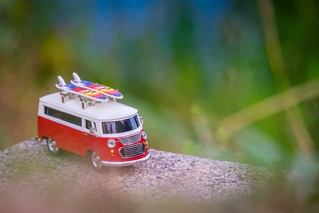 서울경부 경포해변 고속버스 터미널 시간표 예매방법