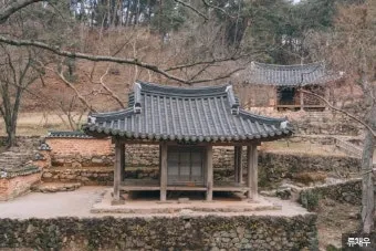 소쇄원 봄 앵두나무꽃 산수유 해당화 개화_14