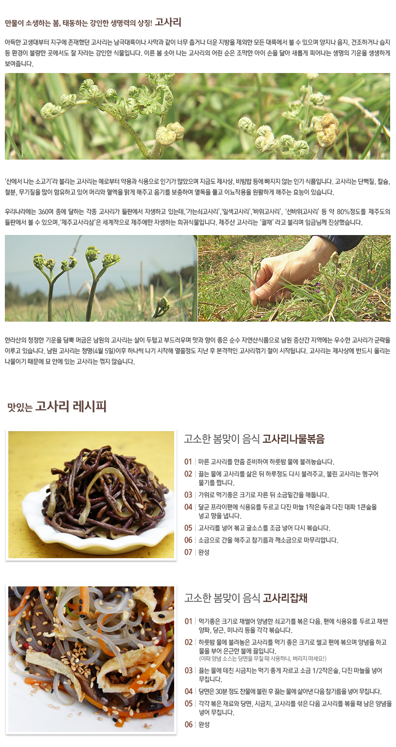 제주 고사리