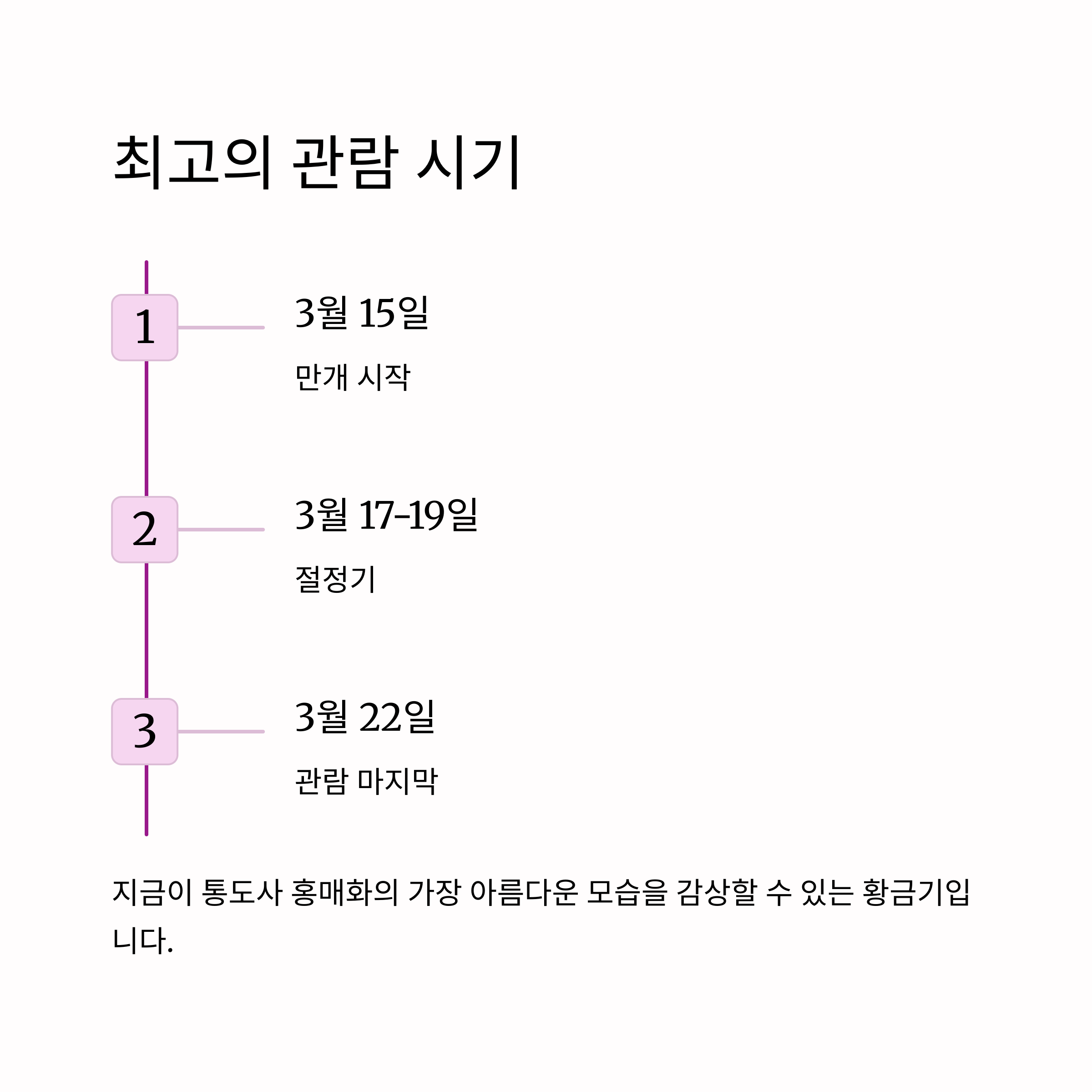 통도사 홍매화 관람시기