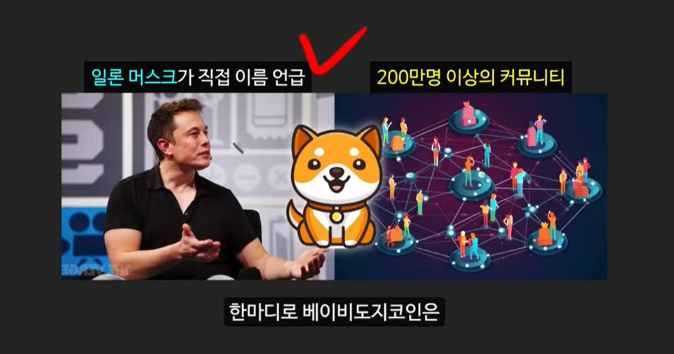 일론 머스크가 주목한 베이비 도지 코인, 급등 가능성은?