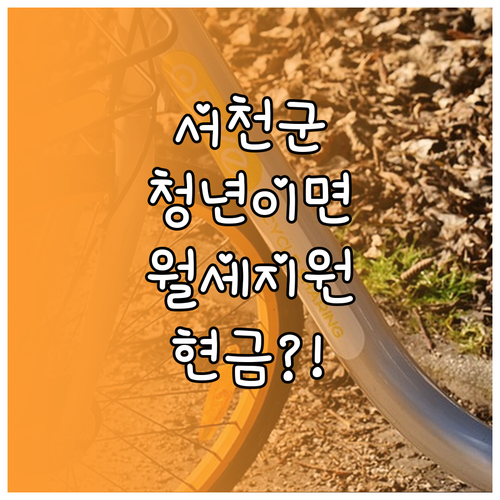 서천군 청년월세지원, 월세 부담 줄이..