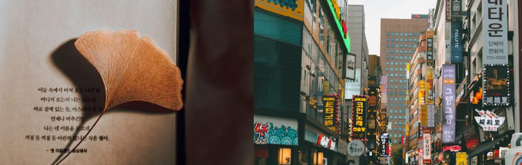 낫다 낳다 돼다 되다 쉽게 구별하는 방법