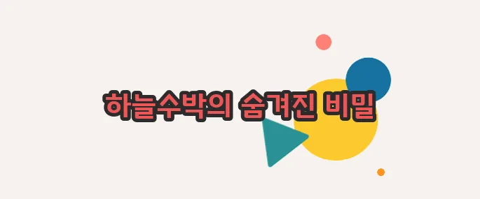 하늘수박 효능 정확히 짚어볼게요