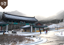 동의보감촌