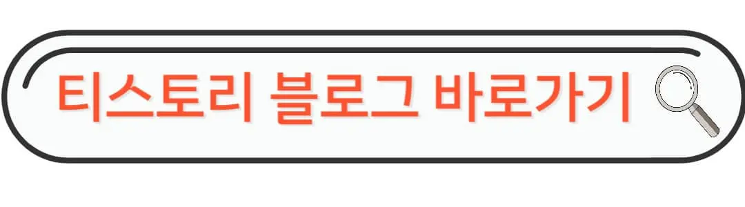 티스토리 블로그 바로가기