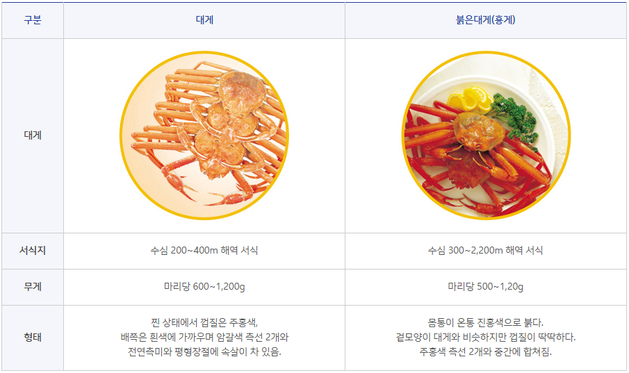 대게와 홍게 구별법