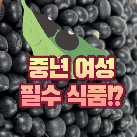 쥐눈이콩(약콩) 효능