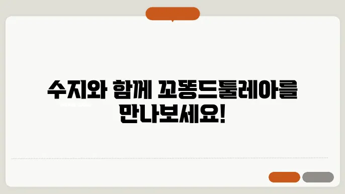 꼬똥드툴레아분양 함께할 친구 수지꼬똥드툴레아분양