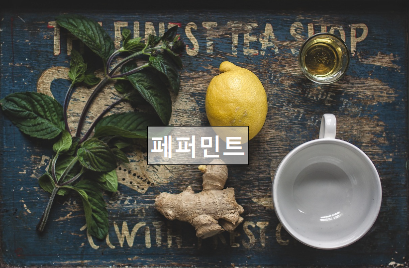 페퍼민트의 시원하고 상쾌한 향