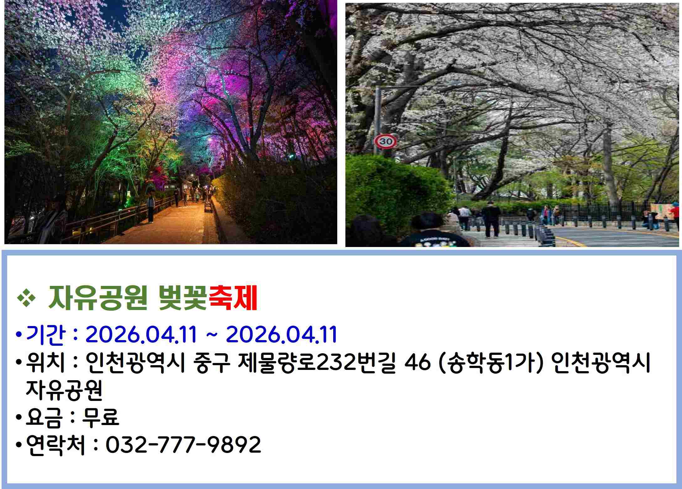 자유공원 벚꽃축제