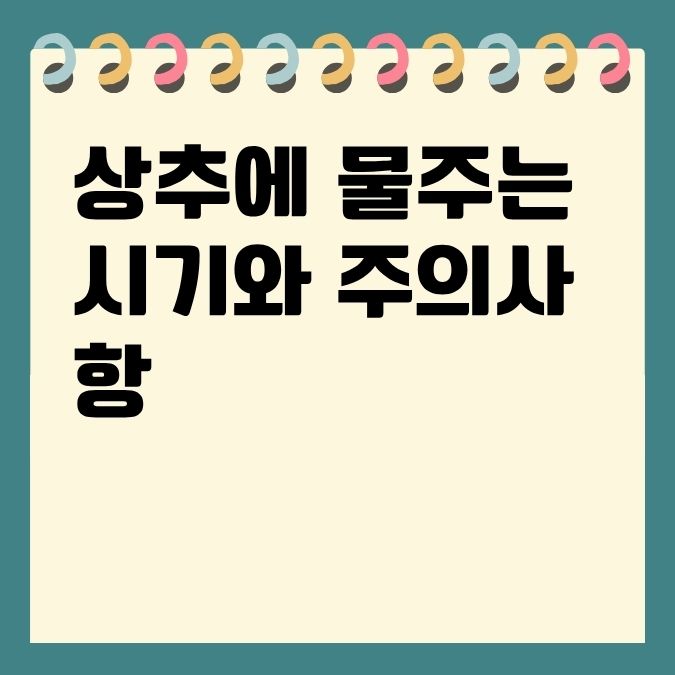 상추에 물주는 시기와 주의사항