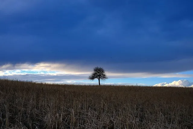 토지(임야)대장