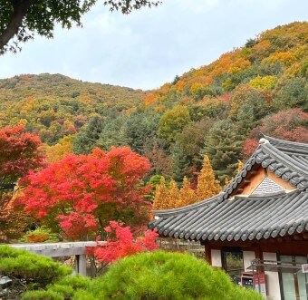 화담숲 예약