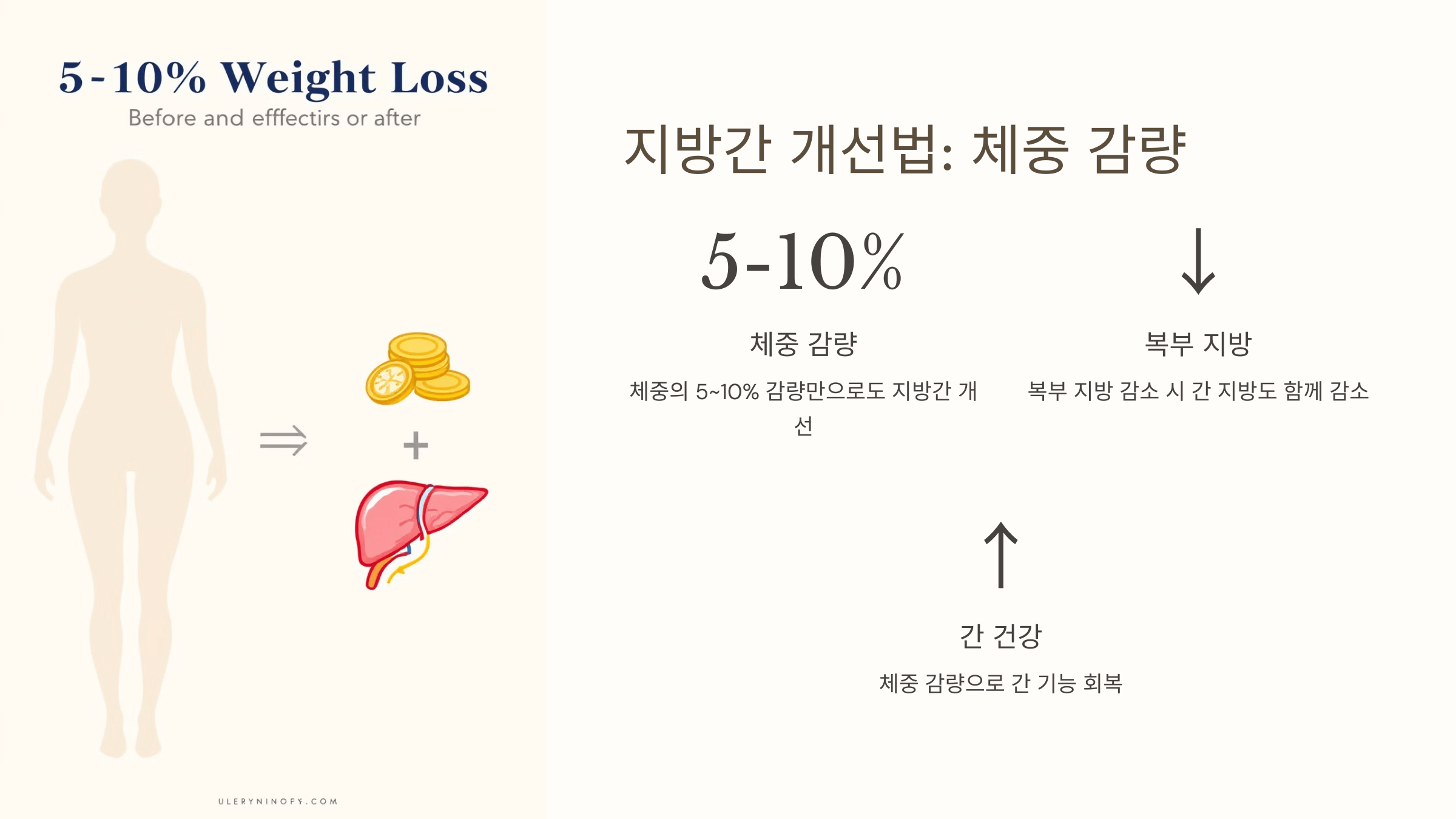 지방간과 관련된 사진입니다.
