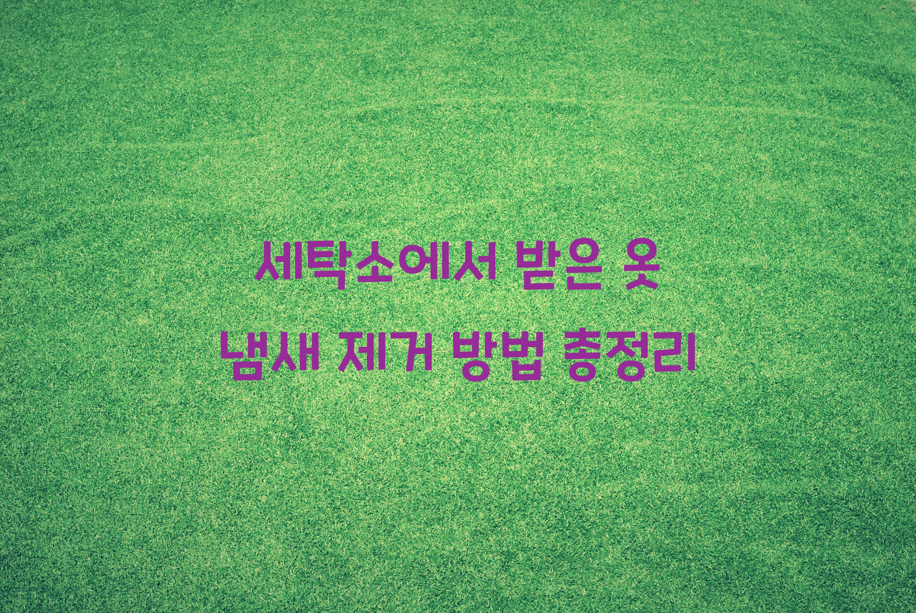 세탁소에서 받은 옷 냄새 제거하는 방법