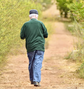 콘드로이친 효능 복용법 시간 부작용
