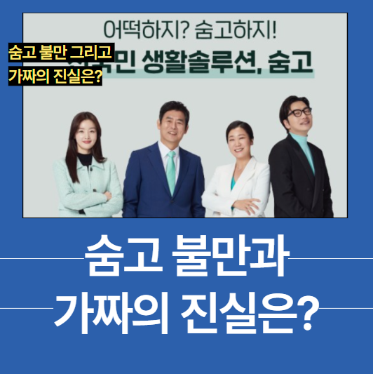 숨고 불만