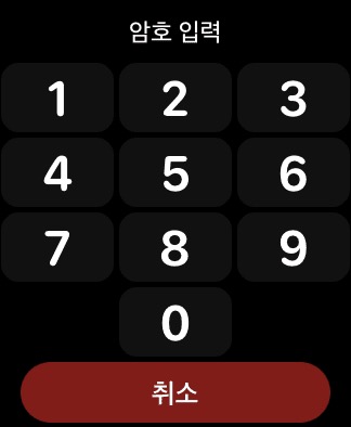 암호 입력