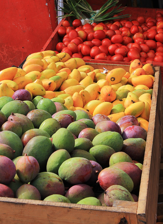 [1-2월 말레이시아 코타키나발루 쿠알라룸프루 여행준비물] 날씨/해외로밍