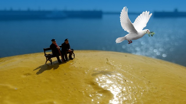 비둘기 중년남자 피큐어