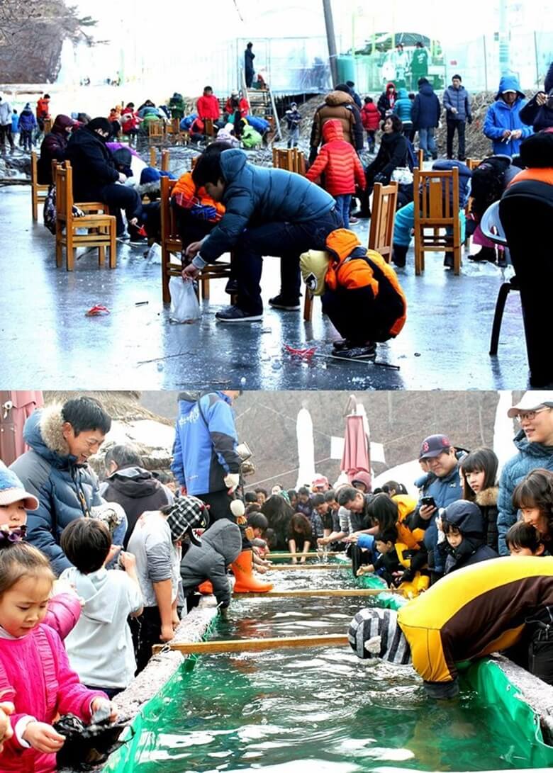 상단사진은 얼음이 언 강위에서 얼음을 깨고 빙어낚시를 하고 있는 다양한 가족들의 분주한 모습이며 하단사진은 빙어를 풀어놓고 맨손으로 빙어를 잡는 체험놀이로 수많은 관광객들이 맨손으로 빙어를 잡고 있는 모습과 사진을 찍고 있는 모습
