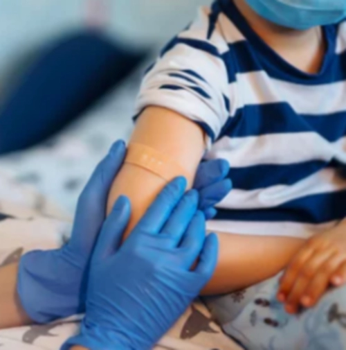 백일해 예방접종 가격