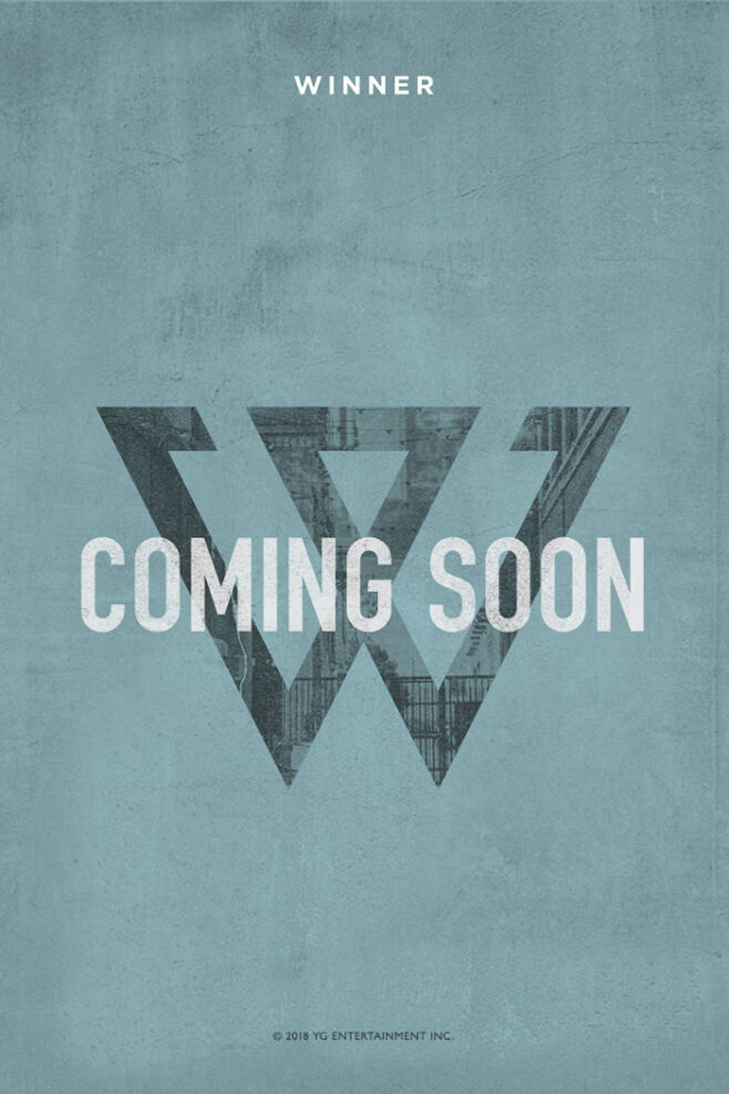 위너의 W 로고는 W3 로고 표절