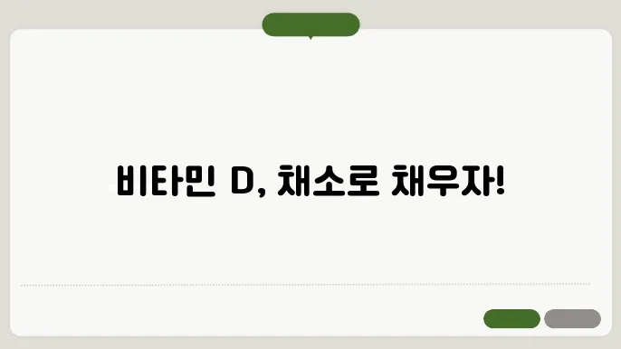 브우물D 많은 채소